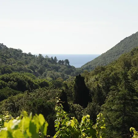 Miramare Ortano