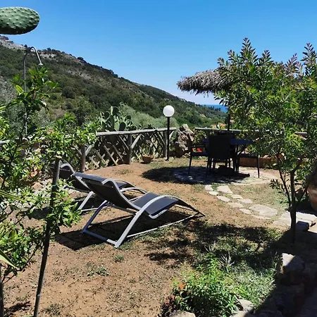 Apartment Miramare Ortano